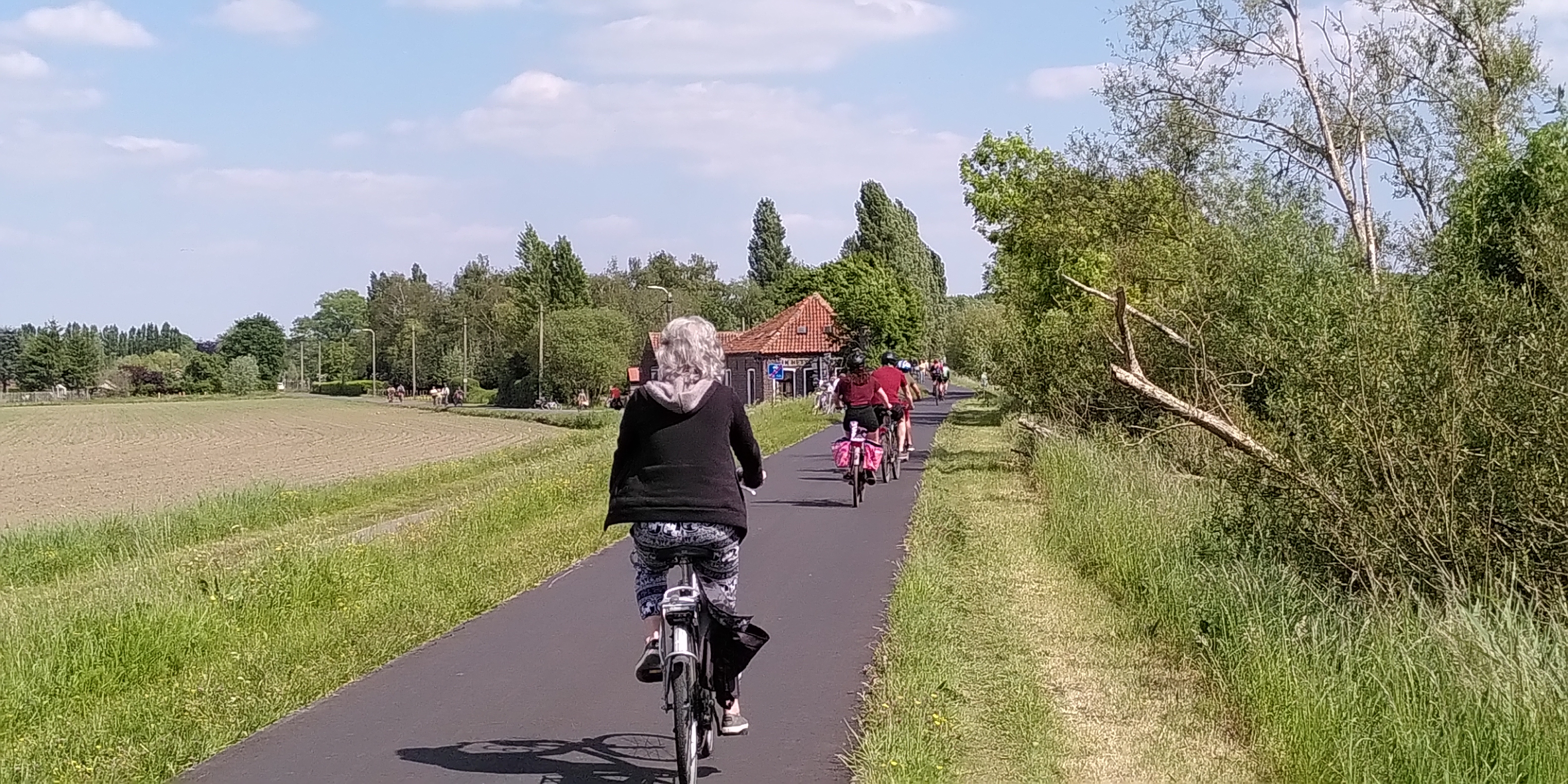 Fietsers op de Scheldedijk